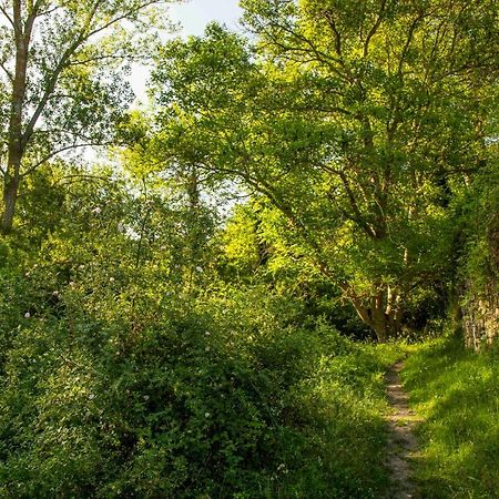 Casa Rural El Huerto De La Fragua ξενώνας Enciso Εξωτερικό φωτογραφία