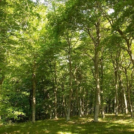 Casa Rural El Huerto De La Fragua ξενώνας Enciso Εξωτερικό φωτογραφία