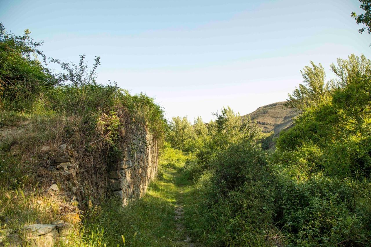 Casa Rural El Huerto De La Fragua ξενώνας Enciso Εξωτερικό φωτογραφία