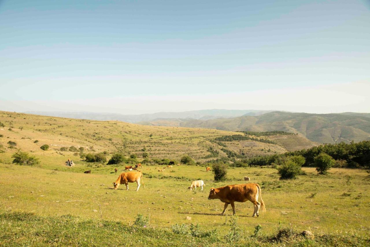 Casa Rural El Huerto De La Fragua ξενώνας Enciso Εξωτερικό φωτογραφία