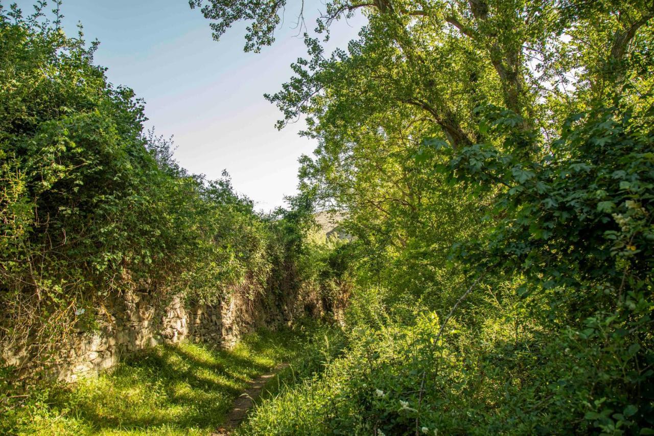 Casa Rural El Huerto De La Fragua ξενώνας Enciso Εξωτερικό φωτογραφία