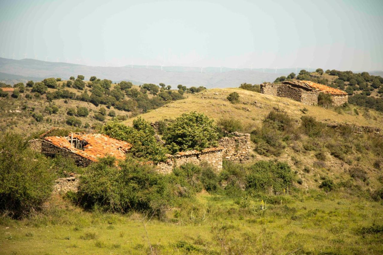 Casa Rural El Huerto De La Fragua ξενώνας Enciso Εξωτερικό φωτογραφία