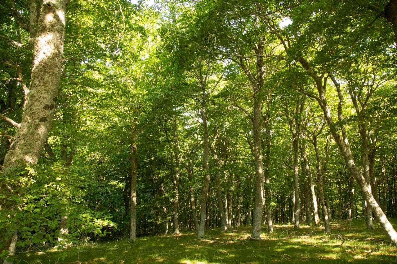 Casa Rural El Huerto De La Fragua ξενώνας Enciso Εξωτερικό φωτογραφία