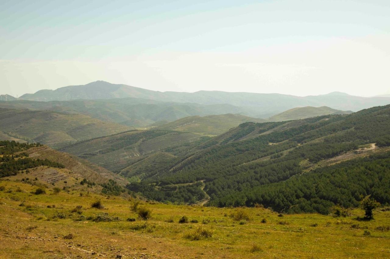 Casa Rural El Huerto De La Fragua ξενώνας Enciso Εξωτερικό φωτογραφία