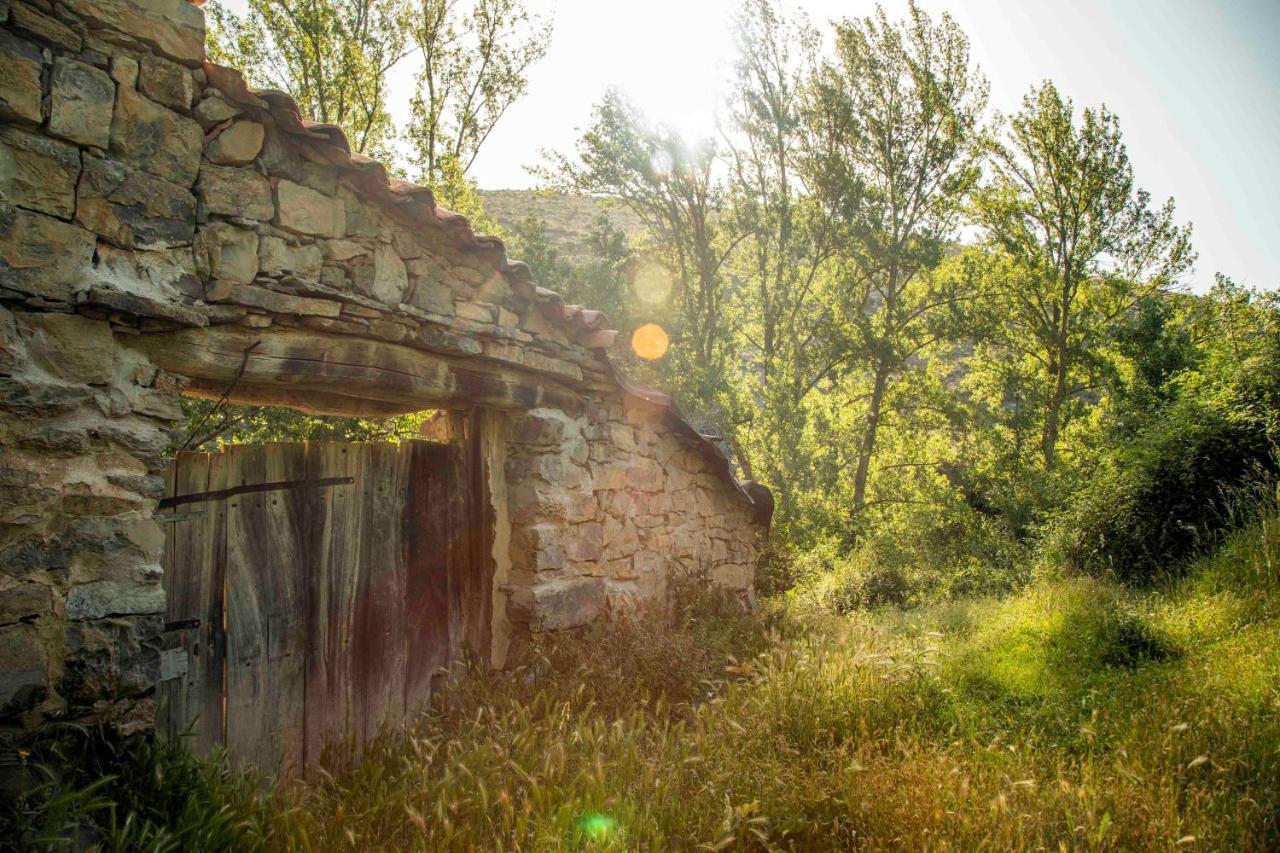 Casa Rural El Huerto De La Fragua ξενώνας Enciso Εξωτερικό φωτογραφία