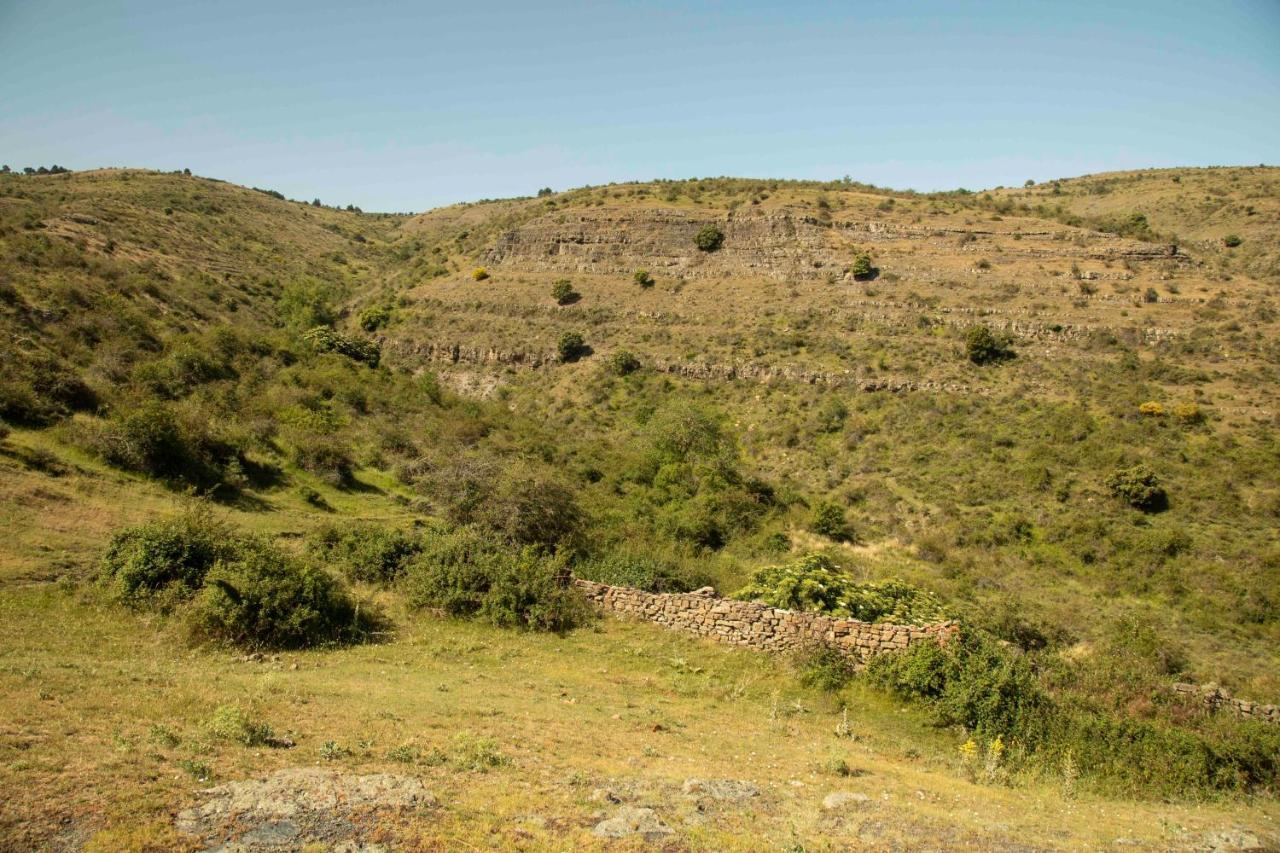 Casa Rural El Huerto De La Fragua ξενώνας Enciso Εξωτερικό φωτογραφία