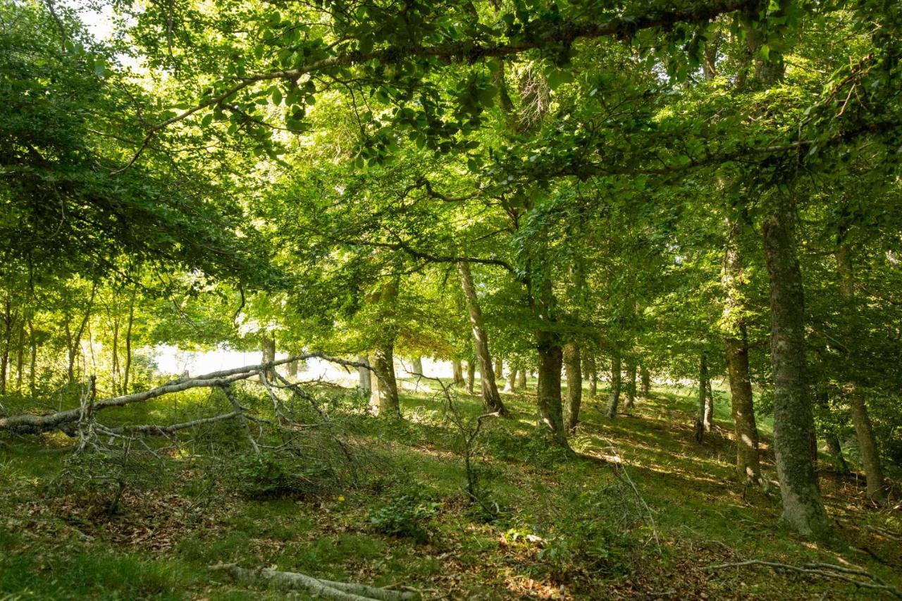 Casa Rural El Huerto De La Fragua ξενώνας Enciso Εξωτερικό φωτογραφία